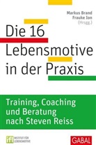 Steven Reiss, Lotha Seiwert, Ralf Teichgräber, Marku Brand, Markus Brand, Ion... - Die 16 Lebensmotive in der Praxis