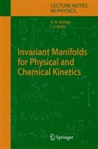 Alexander Gorban, Alexander N Gorban, Alexander N. Gorban, Iliya V Karlin, Iliya V. Karlin - Invariant Manifolds for Physical and Chemical Kinetics
