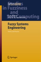 Luiza Macedo Mourelle, Luiza De Macedo Mourelle, Nadi Nedjah, Nadia Nedjah - Fuzzy Systems Engineering
