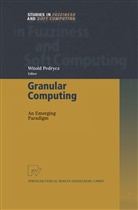 Witol Pedrycz, Witold Pedrycz - Granular Computing