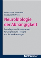 Ani Batra, Anil Batra, Euphrosyne Gouzoulis-Mayfrank, Andrea Heinz, Andreas Heinz, Norbert Scherbaum... - Neurobiologie der Abhängigkeit