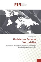 Mohamed Hamdi, Hamdi-M - Ondelettes entieres vectorielles