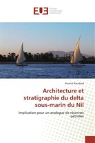 Pierrick Rouillard, Rouillard-P - Architecture et stratigraphie du