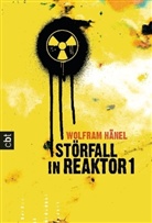 Wolfram Hänel - Störfall in Reaktor 1