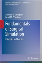 Anthony Gallagher, Anthony G Gallagher, Anthony G. Gallagher, Gerald C. O`Sullivan, Gerald C O'Sullivan, Gerald C. O'Sullivan - Fundamentals of Surgical Simulation