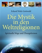Eckard Wolz-Gottwald - Die Mystik in den Weltreligionen