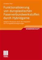 Christian Paul - Funktionalisierung von duroplastischen Faserverbundwerkstoffen durch Hybridgarne
