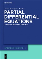 Des McGhee, Raine Picard, Rainer Picard - Partial Differential Equations