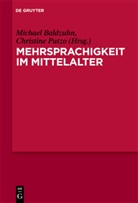 Michae Baldzuhn, Michael Baldzuhn, Putzo, Putzo, Christine Putzo - Mehrsprachigkeit im Mittelalter