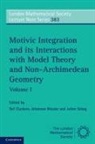 Raf Cluckers, Raf Cluckers, Raf (Universite de Lille) Cluckers, Johannes Nicaise, Johannes (Katholieke Universiteit Leuven Nicaise, Julien Sebag... - Motivic Integration and Its Interactions with Model Theory and