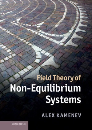 Alex Kamenev, Alex (University of Minnesota) Kamenev,  KAMENEV ALEX - Field Theory of Non-Equilibrium Systems