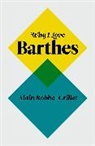 a Robbe-Grillet, Alain Robbe-Grillet, Olivier Corpet - Why I Love Barthes