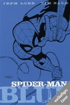 Jep Loeb, Jeph Loeb, Tim Sale, Tim Sale - Spider-Man, Blue