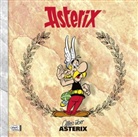 Goscinn, Uderzo - Asterix - Alles über: Asterix - Alles über Asterix