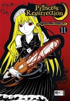 Yasunori Mitsunaga - Princess Resurrection. Bd.11