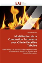 Alexandre Naudin, Naudin-a - Modelisation de la combustion