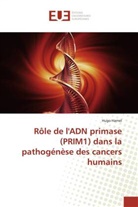 Hugo Hamel, Hamel-h - Role de l adn primase prim1 dans