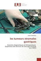 Safaa ELMEZDALI, Elmezdali-S - Les tumeurs stromales gastriques