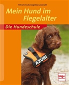 Kriv, Petr Krivy, Petra Krivy, Lanzerath, Angelika Lanzerath - Mein Hund im Flegelalter