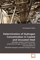 Nonhlangabezo Mabho - Determination of Hydrogen Concentration in Coated and Uncoated Steel