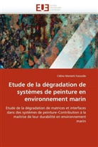 Céline Merlatti Faissolle, Merlatti Faissolle-C - Etude de la degradation de