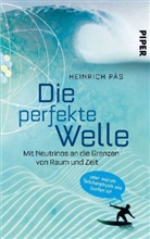 Heinrich Päs - Die perfekte Welle