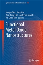 Jinb Cao, Jinbo Cao, Wei-Qiang Han, Wei-Qiang Han et al, Anderson Janotti, Ho-Cheol Kim... - Functional Metal Oxide Nanostructures