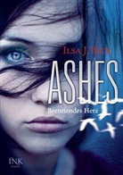 Ilsa J Bick, Ilsa J. Bick - Ashes - Bd.1: Ashes - Brennendes Herz