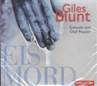 Giles Blunt, Olaf Pessler - Eismord, 6 Audio-CDs (Audiolibro)