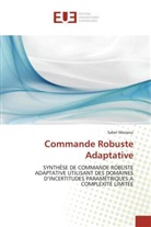 Saber Maraoui, Maraoui-S - Commande robuste adaptative