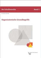 Götz Schmidt, Götz (Prof. Dr.) Schmidt - Organisatorische Grundbegriffe