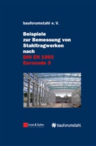 bauforumstahl, bauforumstahl e, bauforumstahl e V, bauforumstahl e.V., Sivo Schilling, bauforumstah e V... - Beispiele zur Bemessung von Stahltragwerken nach DIN EN 1993 Eurocode 3