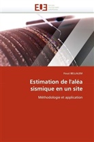 Fouzi Bellalem, Bellalem-F - Estimation de l alea sismique en