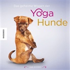 Dan Borris - Das geheime Wissen der Yoga-Hunde