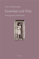 Achim Geisenhanslüke, Achim Geisenhanslüke - Dummheit und Witz