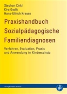 Stephan Cinkl, Kira Gedik, Hans-Ullric Krause, Hans-Ullrich Krause - Praxishandbuch Sozialpädagogische Familiendiagnosen