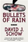 David J Schow, David J. Schow - Bullets of Rain