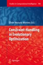 Efré Mezura-Montes, Efrén Mezura-Montes - Constraint-Handling in Evolutionary Optimization