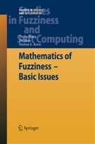 Etienne E Kerre, Etienne E. Kerre, D Ruan, Da Ruan, Xuzh Wang, Xuzhu Wang - Mathematics of Fuzziness-Basic Issues