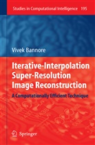 Vivek Bannore - Iterative-Interpolation Super-Resolution Image Reconstruction