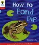 Monica Hughes, Roderick Hunt, Claire Llewellyn, Claire Hughes Llewellyn, Claire Hunt Llewellyn, Llewellyn Claire... - Oxford Reading Tree: Level 4: Floppy s Phonics Non Fiction: How to