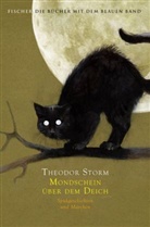 Theodor Storm, Jonas Lauströer - Mondschein über dem Deich