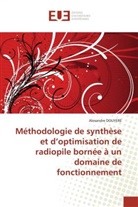 Alexandre DOUYERE, Douyere-A - Methodologie de synthese et d