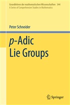 Peter Schneider - p-Adic Lie Groups