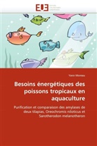 Yann Moreau, Moreau-Y - Besoins energetiques des poissons