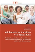 Collectif, Fabi Duhamel, Fabie Duhamel, Franc Dupuis, France Dupuis, Sylvie Gendron - Adolescents en transition vers l