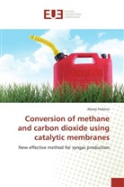 Alexey Fedotov, Fedotov-A - Conversion of methane and carbon
