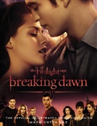 Mark Cotta Vaz - The Twilight Saga Breaking Dawn