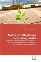 Emmanuel Ametepeh - Motive der öffentlichen Entwicklungspolitik