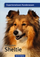 Susanne Roser - Sheltie